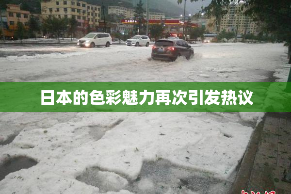 日本的色彩魅力再次引发热议