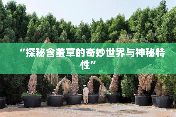“探秘含羞草的奇妙世界与神秘特性”