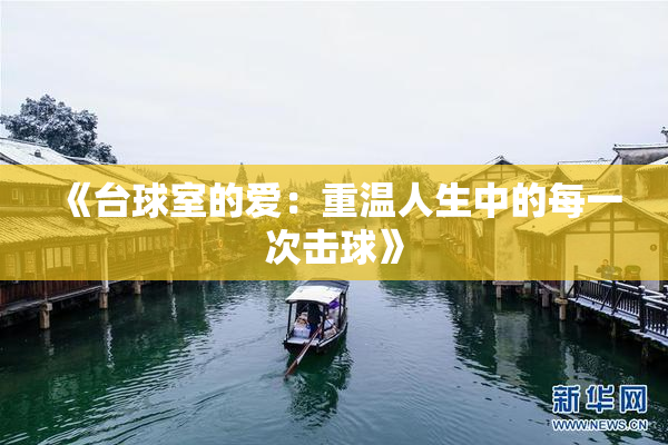 《台球室的爱：重温人生中的每一次击球》