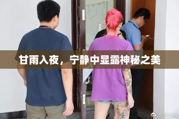 甘雨入夜，宁静中显露神秘之美