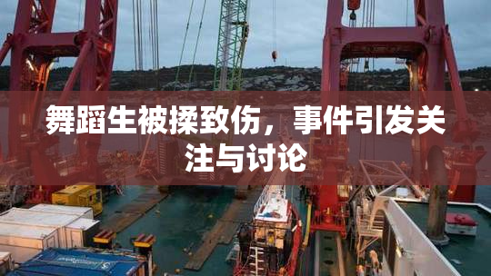 舞蹈生被揉致伤，事件引发关注与讨论