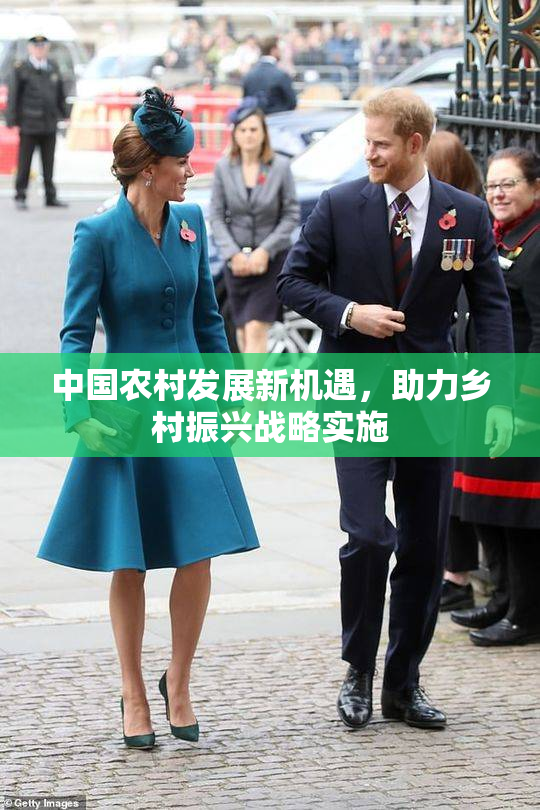 中国农村发展新机遇，助力乡村振兴战略实施