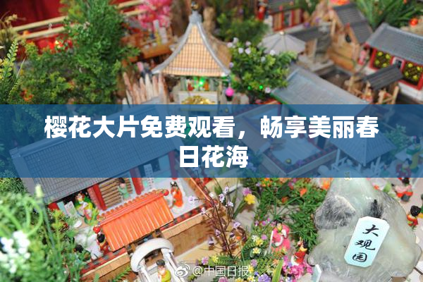 樱花大片免费观看，畅享美丽春日花海