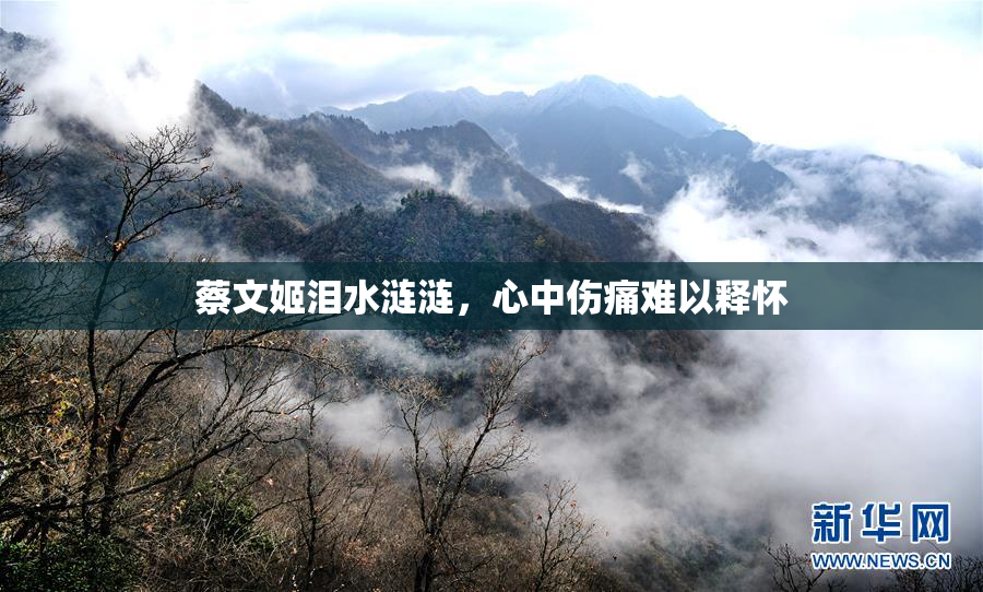 蔡文姬泪水涟涟，心中伤痛难以释怀