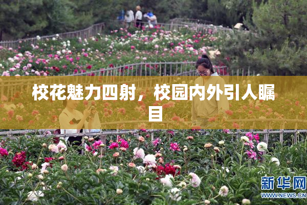 校花魅力四射，校园内外引人瞩目
