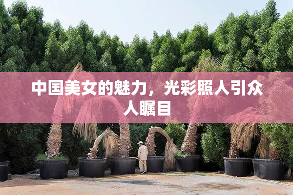 中国美女的魅力，光彩照人引众人瞩目
