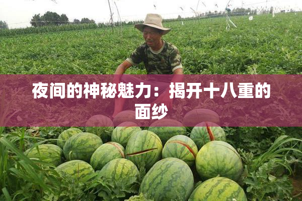 夜间的神秘魅力：揭开十八重的面纱