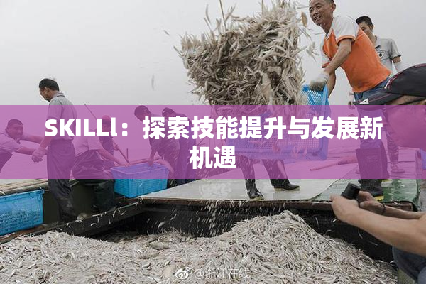 SKILLl：探索技能提升与发展新机遇