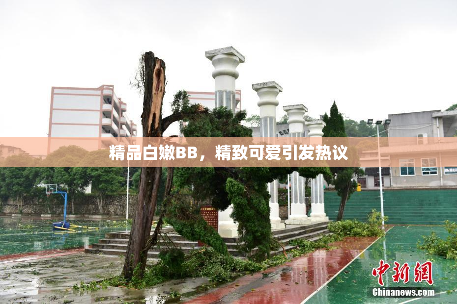 精品白嫩BB，精致可爱引发热议