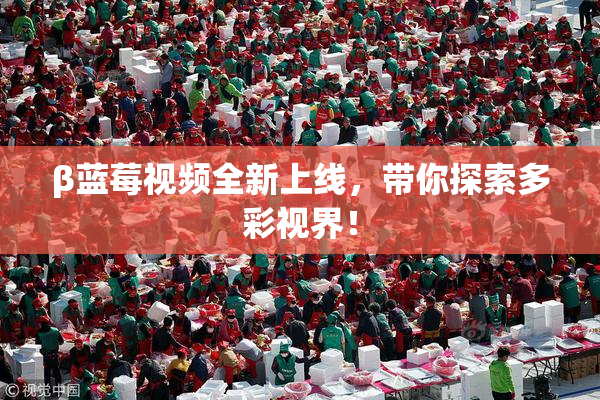 β蓝莓视频全新上线，带你探索多彩视界！