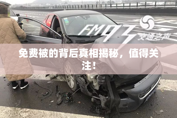 免费被的背后真相揭秘，值得关注！