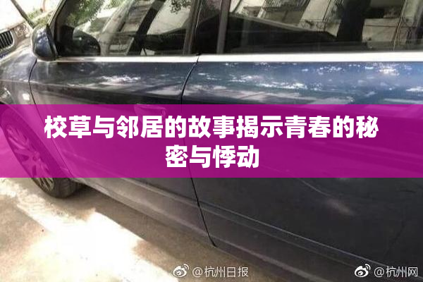 校草与邻居的故事揭示青春的秘密与悸动