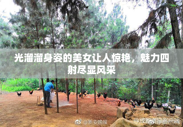 光溜溜身姿的美女让人惊艳，魅力四射尽显风采