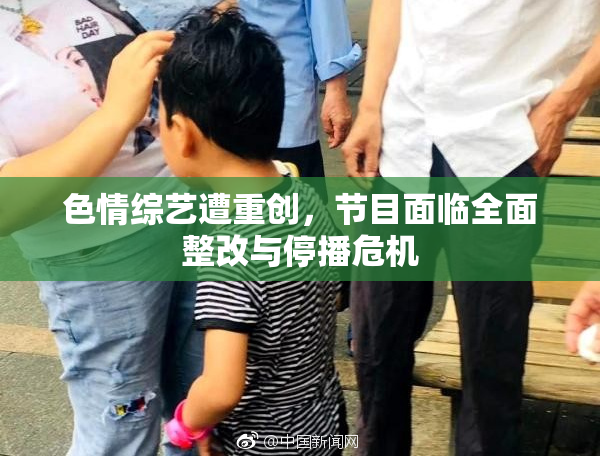 色情综艺遭重创，节目面临全面整改与停播危机