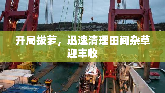 开局拔萝，迅速清理田间杂草迎丰收