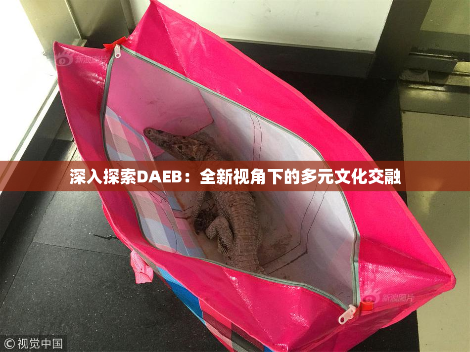 深入探索DAEB：全新视角下的多元文化交融