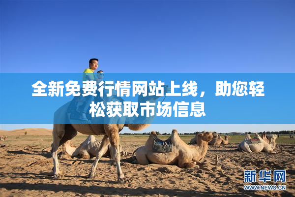 全新免费行情网站上线，助您轻松获取市场信息