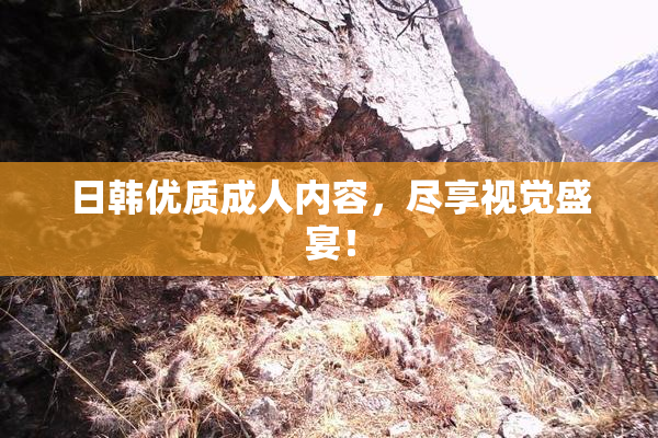 日韩优质成人内容，尽享视觉盛宴！