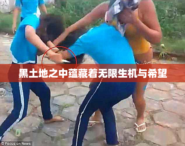 黑土地之中蕴藏着无限生机与希望
