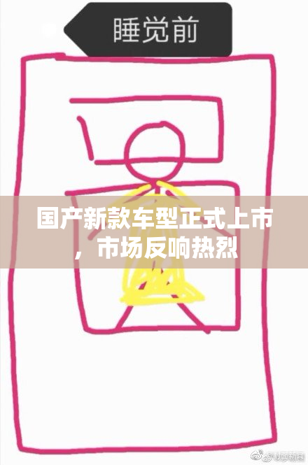 国产新款车型正式上市，市场反响热烈
