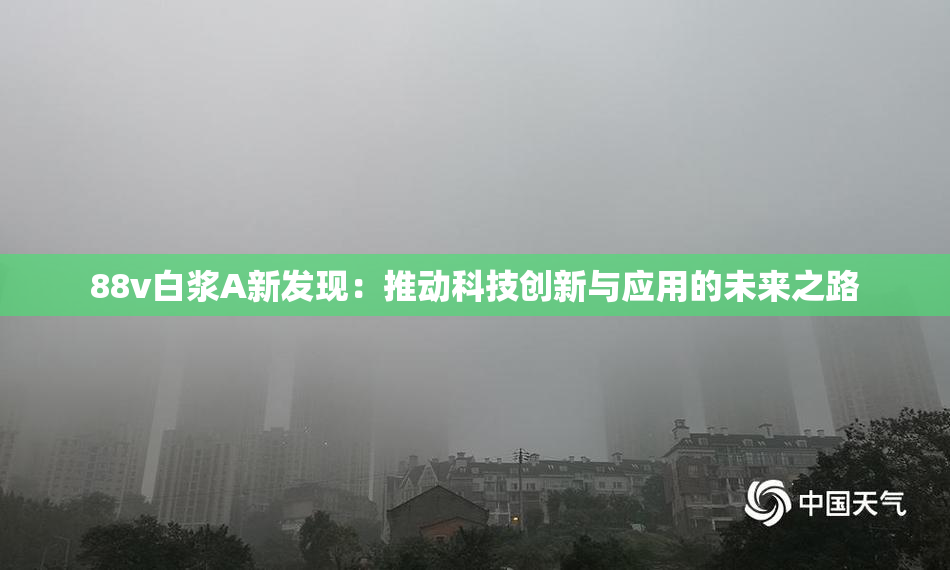 88v白浆A新发现：推动科技创新与应用的未来之路