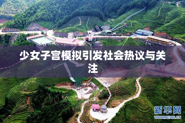 少女子宫模拟引发社会热议与关注