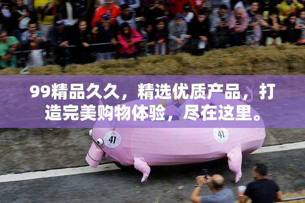 99精品久久，精选优质产品，打造完美购物体验，尽在这里。