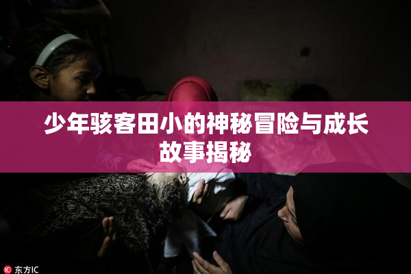 少年骇客田小的神秘冒险与成长故事揭秘