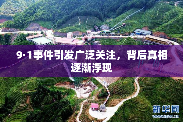 9·1事件引发广泛关注，背后真相逐渐浮现