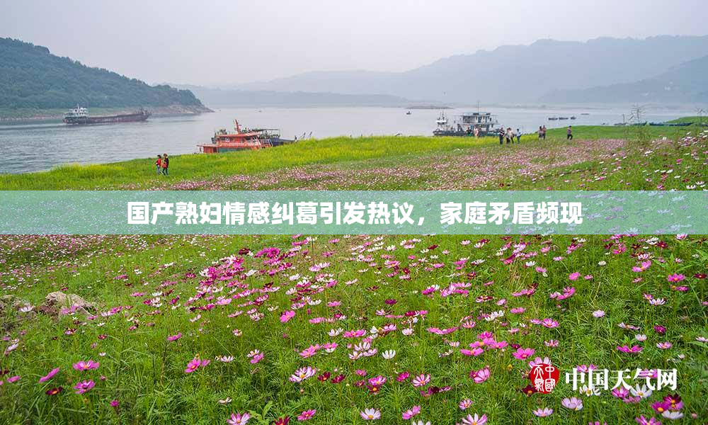 国产熟妇情感纠葛引发热议，家庭矛盾频现