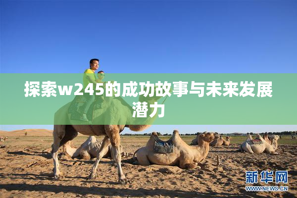 探索w245的成功故事与未来发展潜力