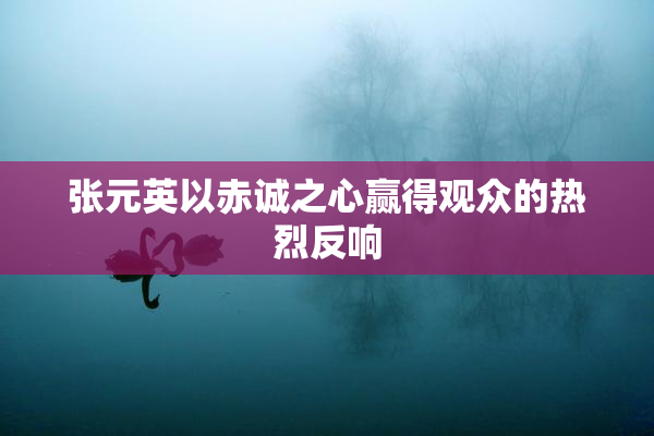 张元英以赤诚之心赢得观众的热烈反响