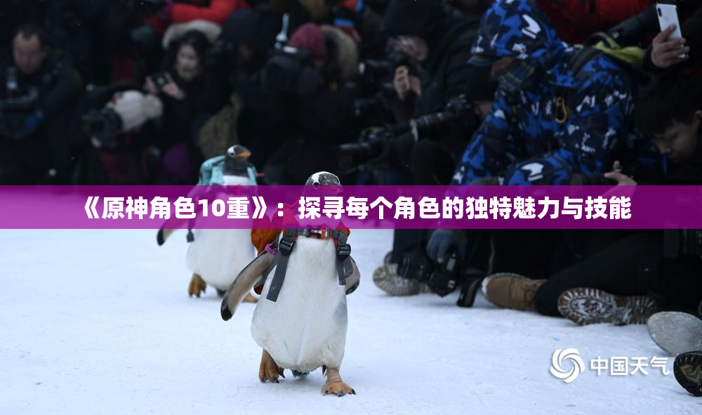 《原神角色10重》：探寻每个角色的独特魅力与技能