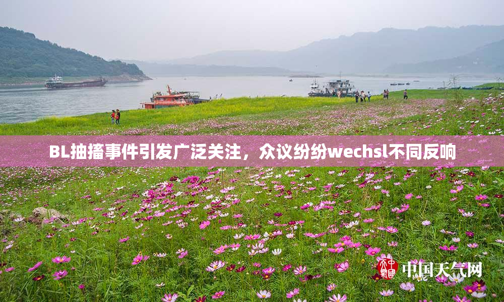 BL抽搐事件引发广泛关注，众议纷纷wechsl不同反响