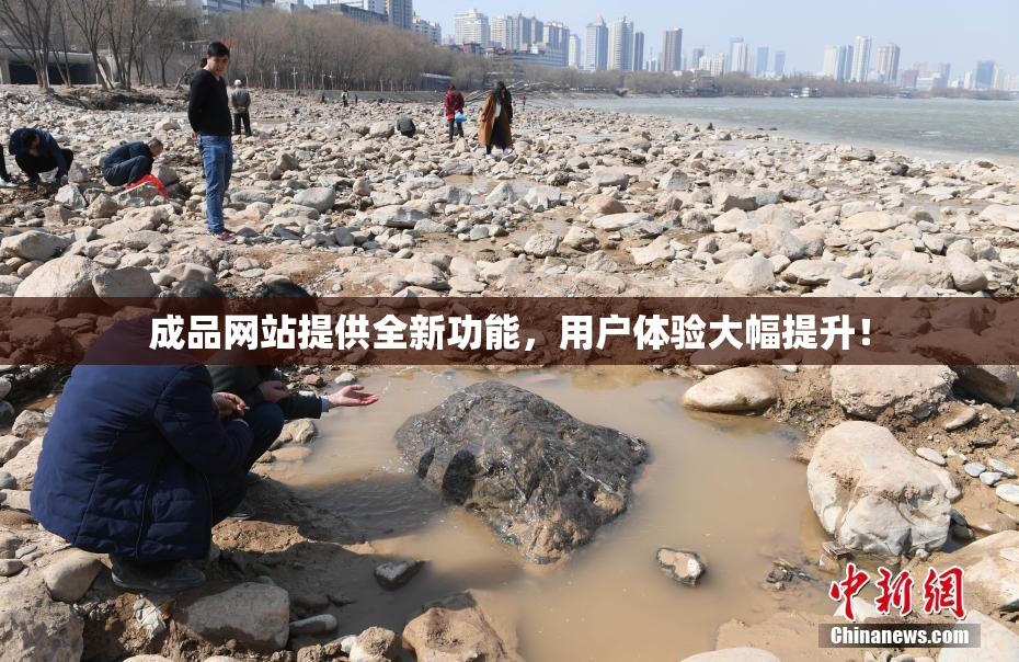 成品网站提供全新功能，用户体验大幅提升！