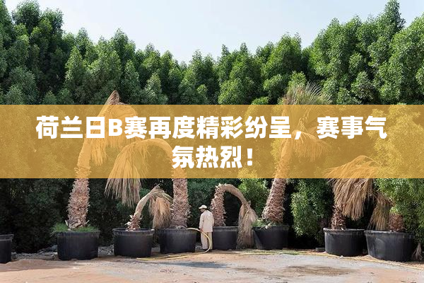 荷兰日B赛再度精彩纷呈，赛事气氛热烈！