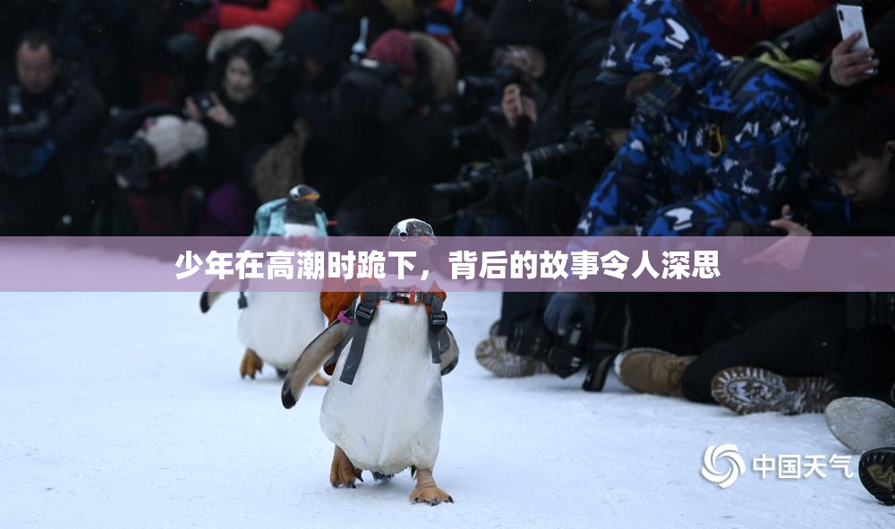 少年在高潮时跪下，背后的故事令人深思