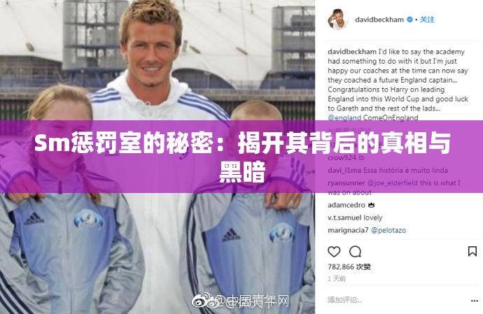 Sm惩罚室的秘密：揭开其背后的真相与黑暗