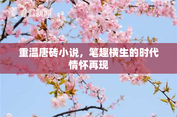 重温唐砖小说，笔趣横生的时代情怀再现