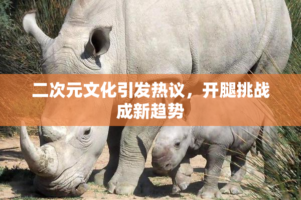 二次元文化引发热议，开腿挑战成新趋势