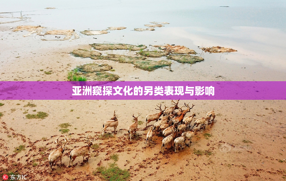 亚洲窥探文化的另类表现与影响