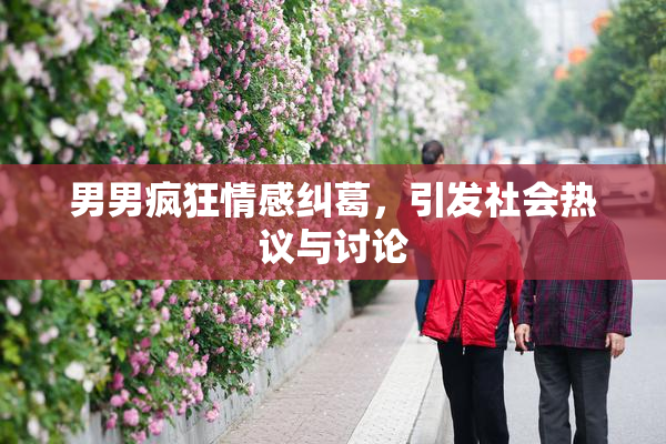 男男疯狂情感纠葛，引发社会热议与讨论