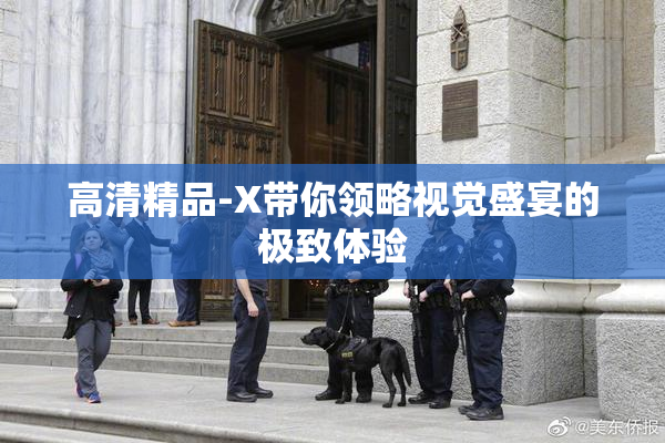 高清精品-X带你领略视觉盛宴的极致体验