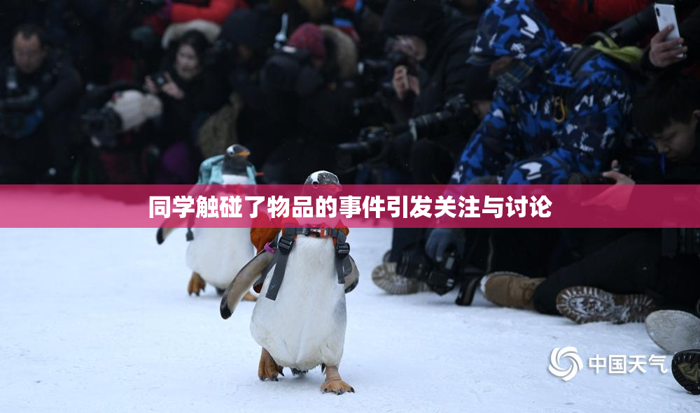 同学触碰了物品的事件引发关注与讨论