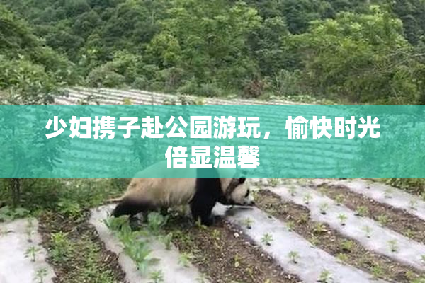 少妇携子赴公园游玩，愉快时光倍显温馨
