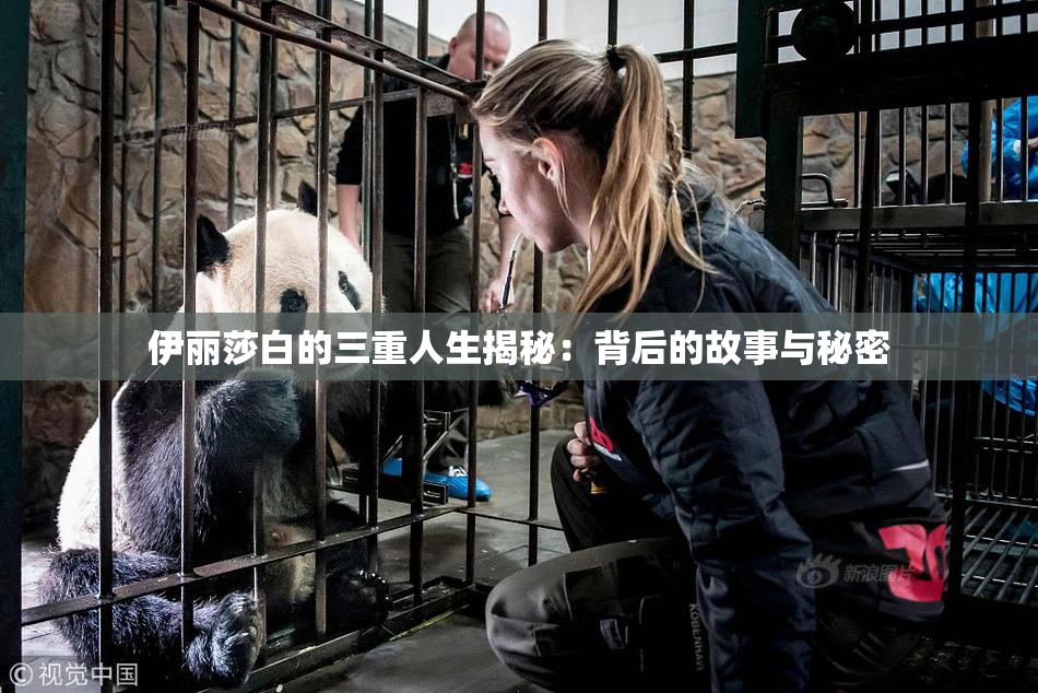 伊丽莎白的三重人生揭秘：背后的故事与秘密