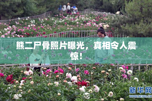 熊二尸骨照片曝光，真相令人震惊！