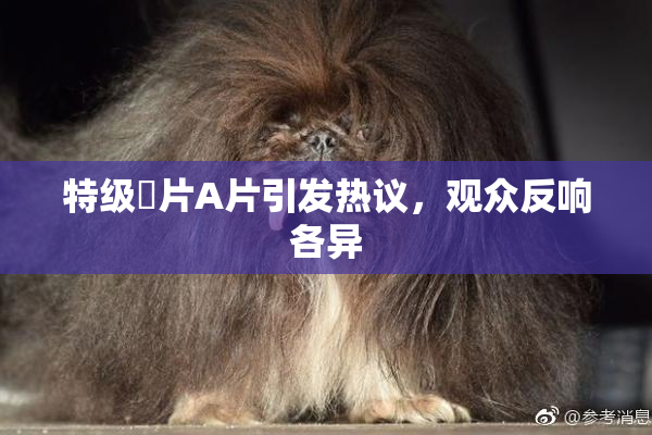 特级婬片A片引发热议，观众反响各异