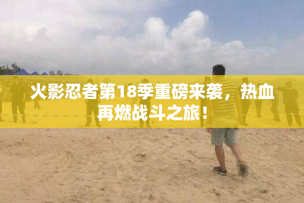 火影忍者第18季重磅来袭，热血再燃战斗之旅！