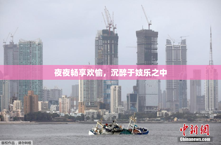 夜夜畅享欢愉，沉醉于妓乐之中